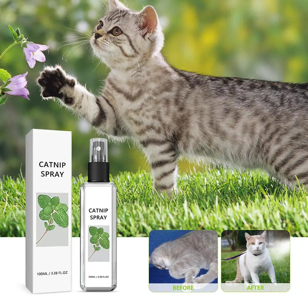 LZ Natural Calming Catnip Spray