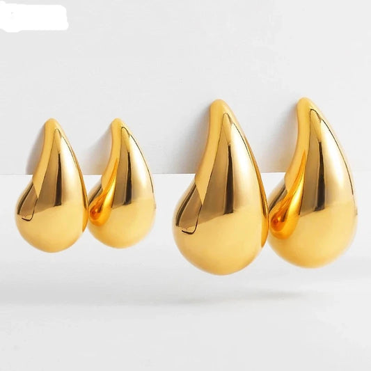 LZ Trendy Teardrop Design Earrings