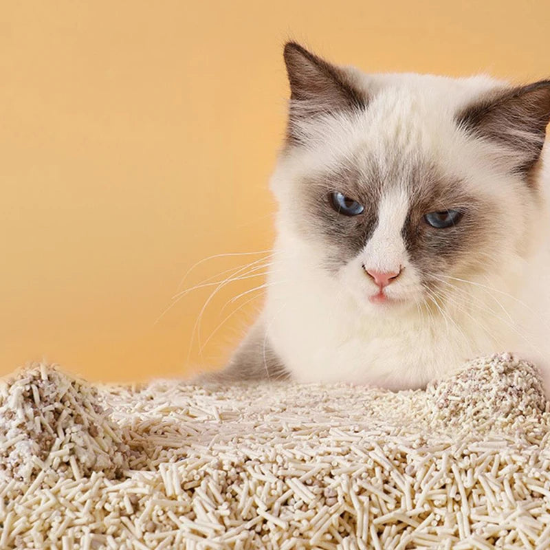 LZ Biodegradable Tofu Cat Litter