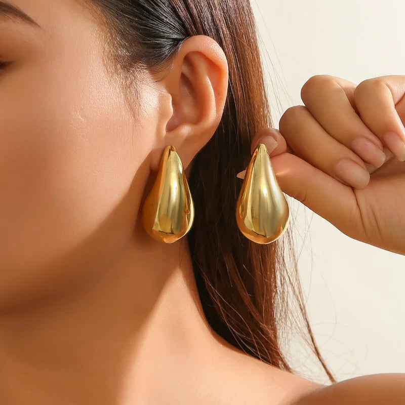 LZ Trendy Teardrop Design Earrings